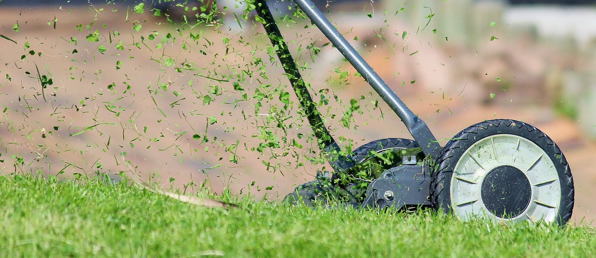 Grass being cut